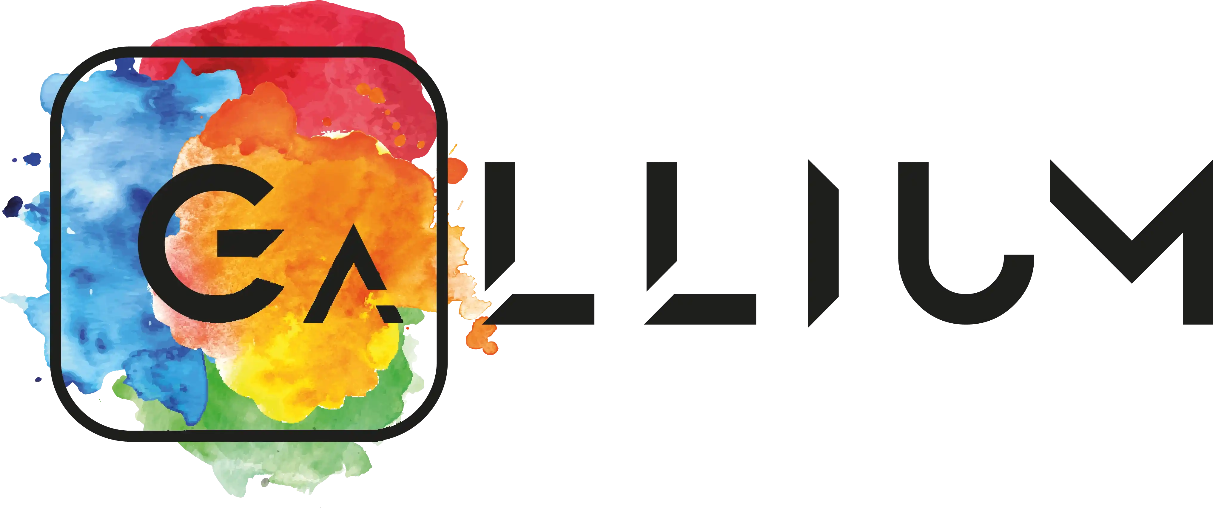 galliumventures